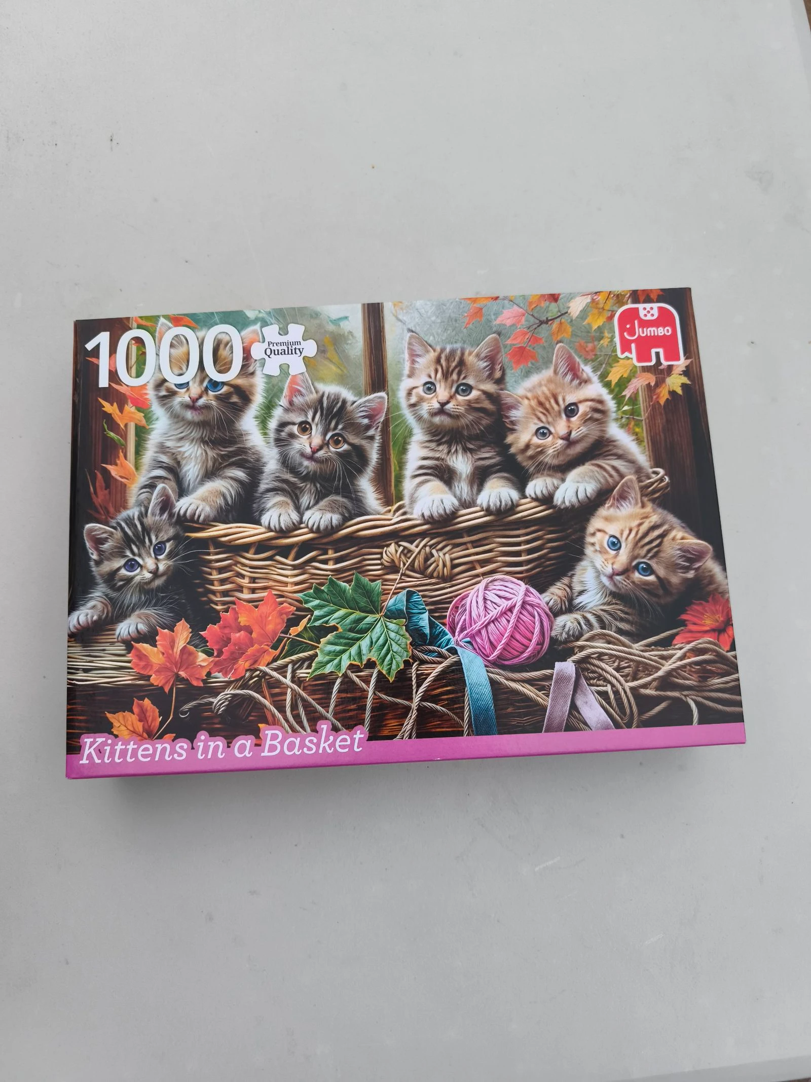 Puzzle 1000 pièce neuf